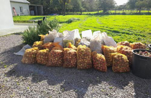 La Bourgandie - Foto 30