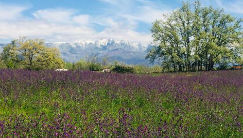 CR "El Arrabal" Valle de La Vera - Photo 4