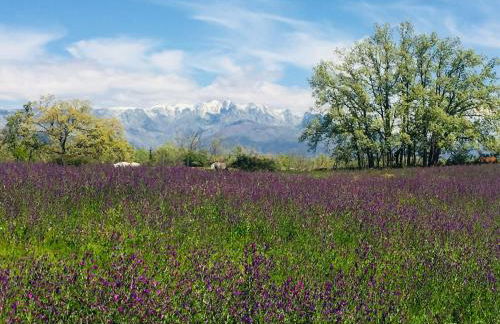 CR "El Arrabal" Valle de La Vera - Photo 4