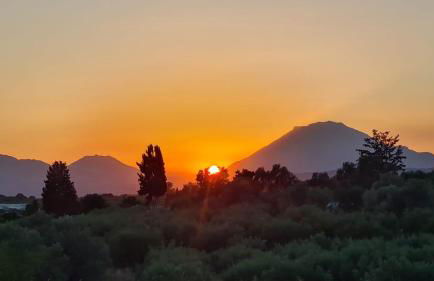 Villa Kamelia-Renovated old house-South Crete - Photo 8