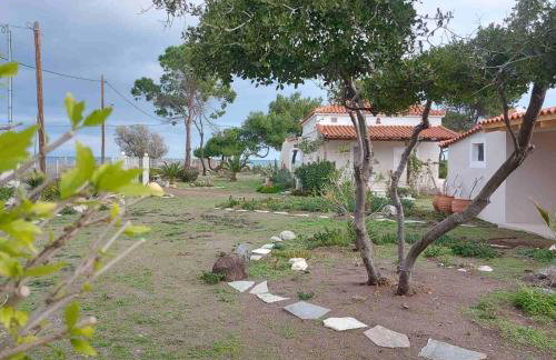 Vintage Beach House - Photo 16