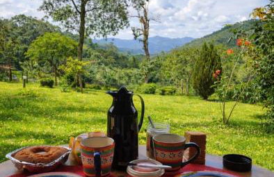 Casa de campos são Francisco Xavier Xavier - Foto 13