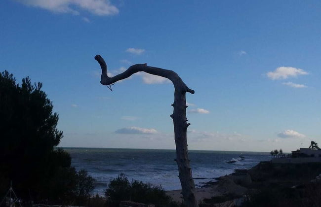 I Trulli Sul Mare - Foto 10