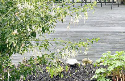 PRIMROSE COTTAGE, Sleeps 5, Stylish Cottage, Central, Close to Beach, shops and restaurants - Foto 69