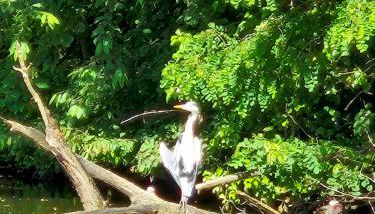 Beautiful apartment, beautiful view, quiet, 6min walk from metro1 and 20min from LOUVRE - Foto 3
