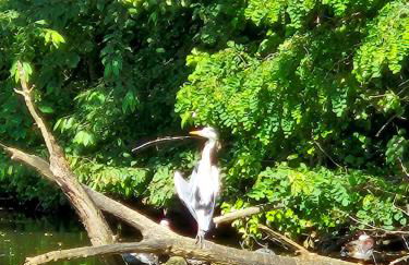 Beautiful apartment, beautiful view, quiet, 6min walk from metro1 and 20min from LOUVRE - Foto 3