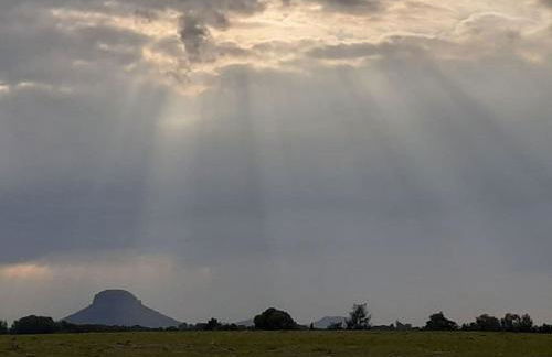 Schöne und ruhige Ferienwohnung in Ottendorf - Foto 24