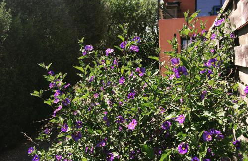 La Poussada, maisons écologiques avec vue mer - Foto 27