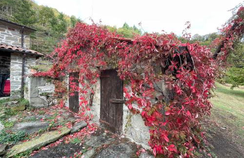 Bio Agriturismo il Vigno - Foto 152