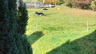 Chalet La Grange de Madi - Foto 5