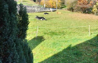 Chalet La Grange de Madi - Foto 5