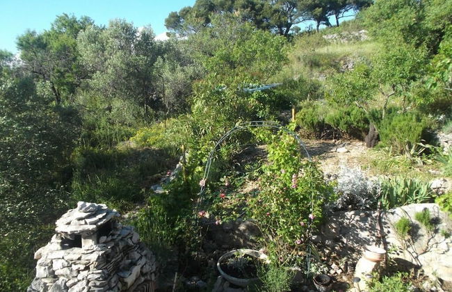 Apartments Sunce - Foto 36