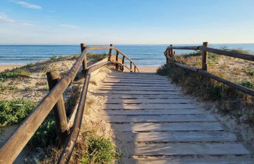 Hello Oliva Beach Alter - Photo 24