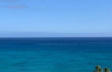 Welooveyou Wildlife Zen - Photo 13