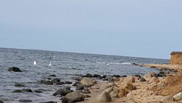 Ferienwohnung Bergholz - Foto 4