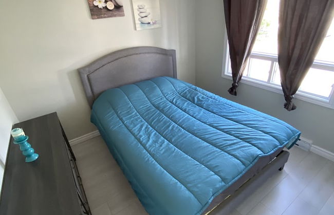 Le Cardinal - Foto 11