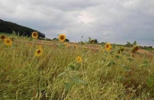 Holiday Home Landleben by Interhome - Foto 13