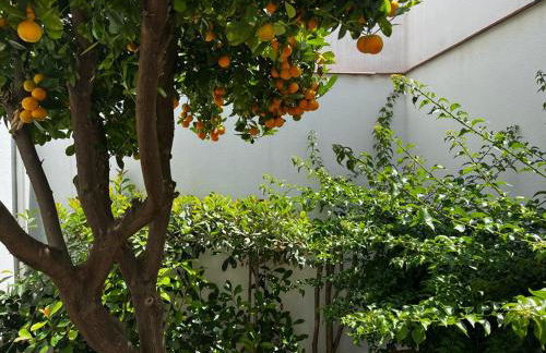 Acogedor apartamento junto a plaza de San Agustin - Foto 23