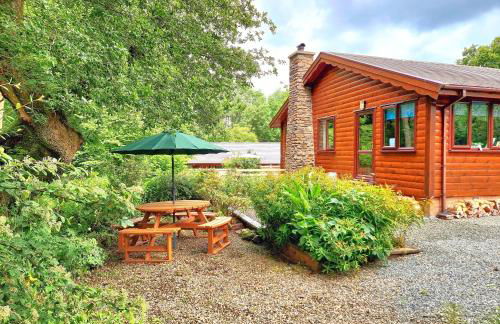 Luxury Wood Lodge with sauna, log burner & private woodland garden - Wnion Wood Lodge - Foto 14