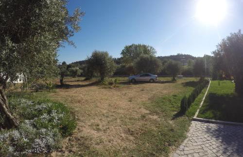 Farmer Fraguas - Foto 7