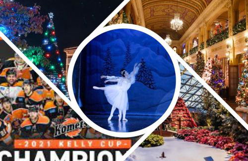 King Bed, Stocked Kitchen, Easy Driveway Parking, 2mi to Downtown & Coliseum - Foto 64