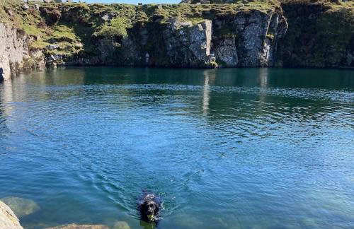 Cargibbitt Annexe - Foto 43