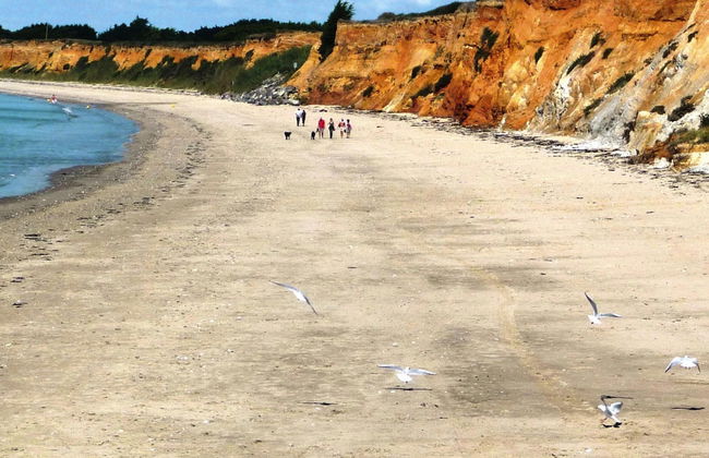 Beautiful Quiet Holiday Home, Close to the Beach - Foto 24