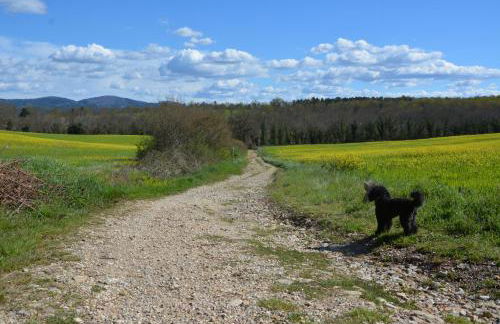 Villa Luisa Design - Foto 45