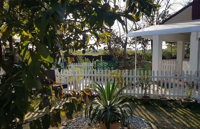 Koko's Farm - Foto 20