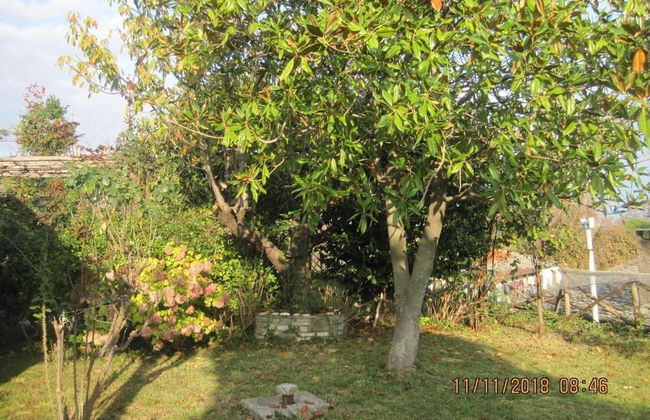 Villa Rena in Mouresi Seaview - Foto 20