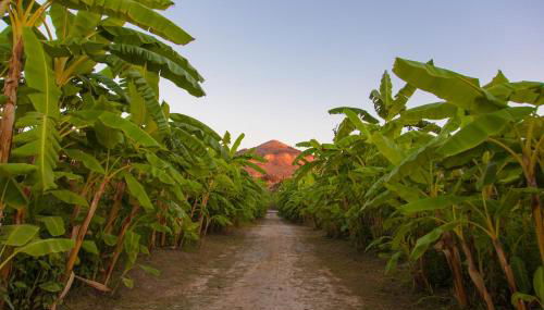 Rosmarino Park - Foto 2