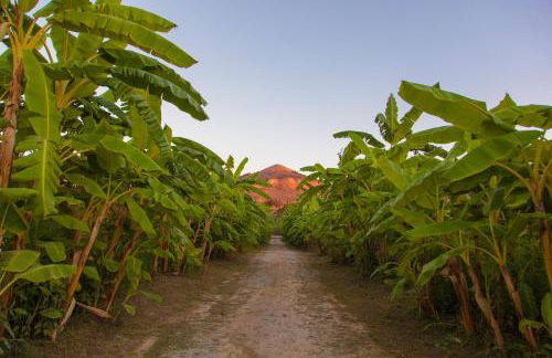 Rosmarino Park - Foto 2