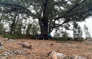 Ferienwohnung Teutoblick - Foto 17