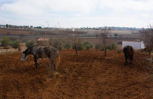 El Retiro de Cervantes - Foto 50