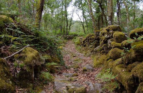 Caminho Gerês - Heritage Eco-Cottage - jacuzzi - Foto 27