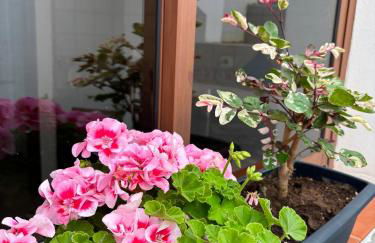 Casa Vistabuena, Golf, Jacuzzi, Beach and Views - Foto 30