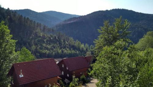 Holiday home in Hornberg with swimming pool - Foto 2, Other