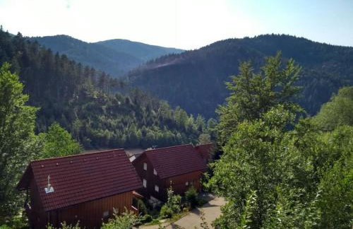 Holiday home in Hornberg with swimming pool - Foto 2