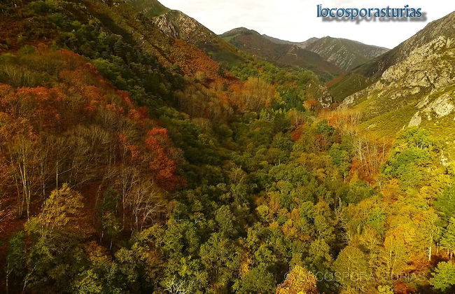 LA Nana DEL MAR Flat on the old Port of Cudillero - Photo 49