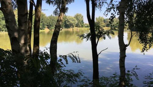 Werkstatt 17 - Chill & Grill - Foto 4