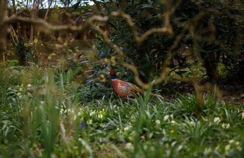 The Home Barn at Cornish Barn Holidays - Foto 42