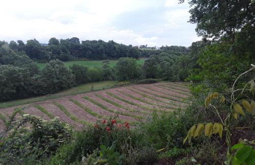 Agriturismo Il Sentiero - Foto 37