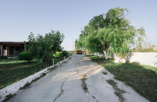 Stella's Holiday Resort - Foto 7