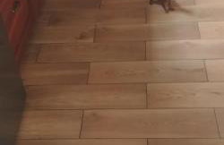 Domek w Ocyplu-Ocypelski Śpik ,Bory Tucholskie - Foto 15