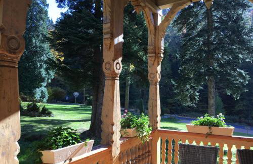 Willa Trebla - Foto 45