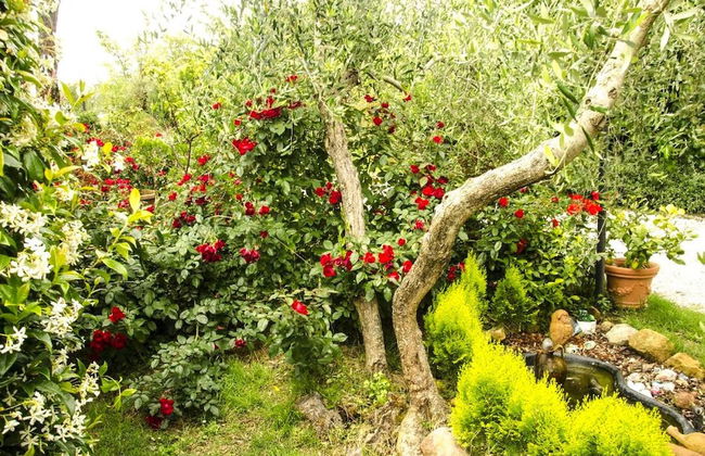 Belvilla by OYO Farmhouse in Montaione - Foto 36