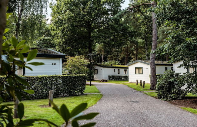 Comfortable Bungalow on the Veluwe - Photo 18