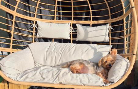 The Cosy Hide - A romantic rural retreat for 2 - Foto 43