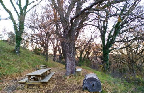 XALET de MUNTANYA - Foto 17