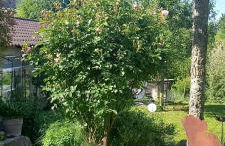 Ferienwohnung Rebgärtle - Foto 26